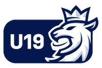 czech lev Sticker by Národní tým