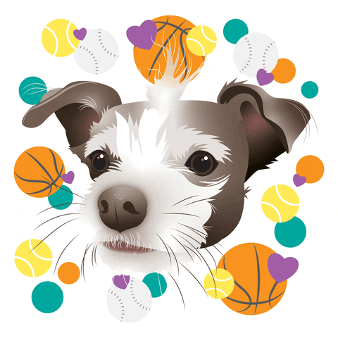 Pet Portrait GIF