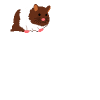 Guinea Pig Dancing Sticker