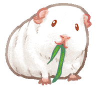 Guinea Pig Eating Sticker