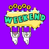 Excited White Cat GIF by Mikitti