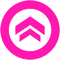 Chevron Sticker by The Ladies Edge