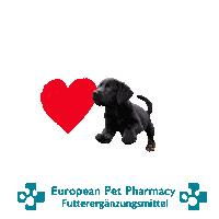 La Retrieve Sticker by Europeanpetpharmacy