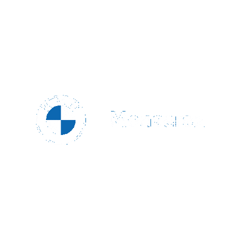 BMWMonserez giphygifmaker Sticker