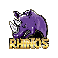 ozball baseball ozball duwc swrhinos Sticker