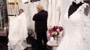 reveal GIF by TLC Europe