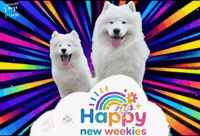 Monday Week GIF