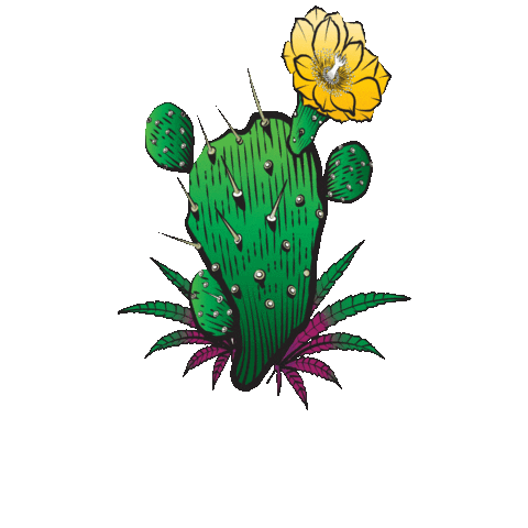 Cactus Sticker by CactusFlowerOK