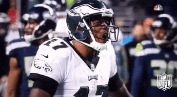 philadelphia eagles football GIF by NFL