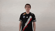 Please Dont Rocket League GIF by G2 Esports