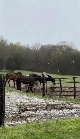 Wintry Mix Falls on Franklin as Cold Front Sweeps Tennessee