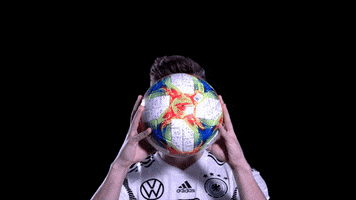 dfb-teams ball germany dfb werner GIF