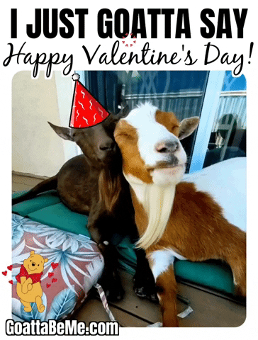 Valentines Day Valentine GIF by Goatta Be Me Goats! Adventures of Pumpkin, Cookie and Java!