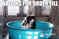 Crypto Bitcoin GIF by ProBit Global