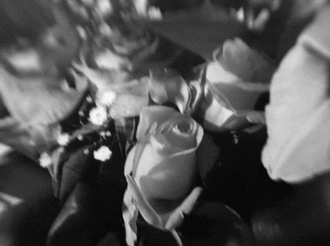 suedeofficial giphyupload lyrics suede disintegrate GIF