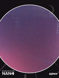worlds fair nano GIF