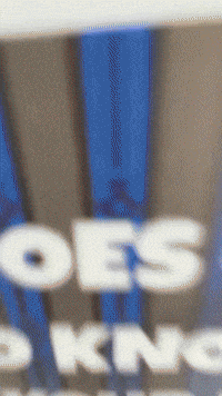 Gamer Fivenightsatfreddys GIF by Youtooz