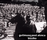 Gutimusq GIF