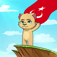 Turkish Flag Turkey GIF by Kabu