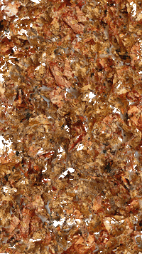 New Music Pop GIF by Capitol CMG