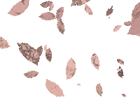 yolandaabarrio_ minimal plants leaves minimalist Sticker