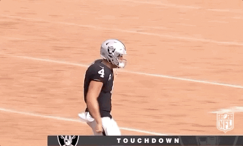 2018 Nfl Football GIF by NFL