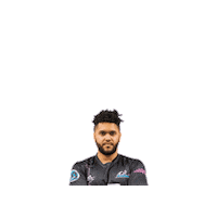 Riseasone Sticker by St. Louis Ambush