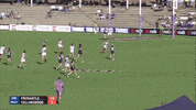 afl womens foreverfreo GIF by Fremantle Dockers