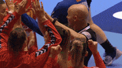 Handball Ehfeuro GIF by EHF