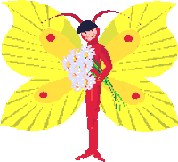 animation library STICKER