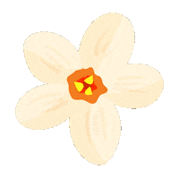 Flower Spring Sticker by Kew Gardens