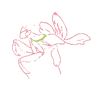 Bug Insect Sticker