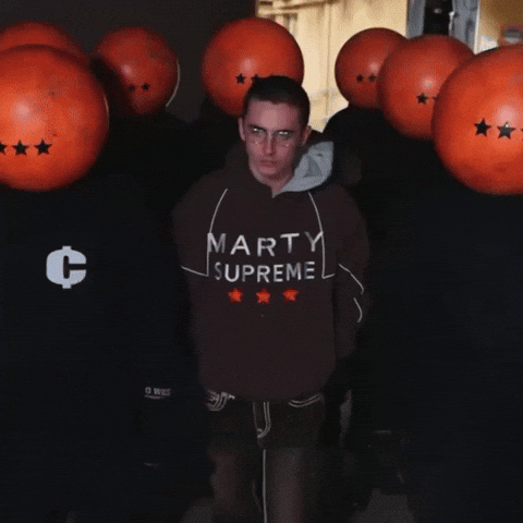 Timothee Chalamet Brooklyn GIF by Respective