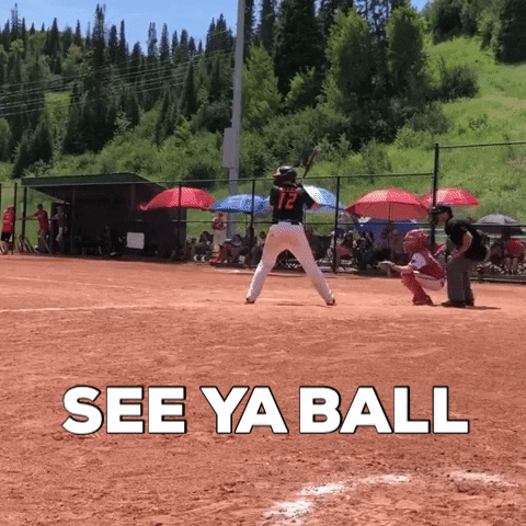 rawlingstigers giphygifmaker baseball homerun rawlings tigers GIF