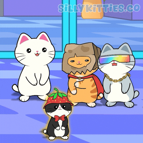 Happy Cat GIF by Silly Kitties