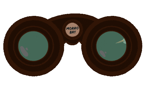 VisitMorroBayCA giphyupload birding birdwatching bird watching Sticker