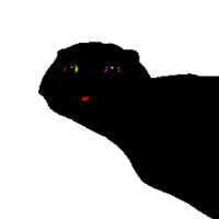 srodan art cat animation animated GIF