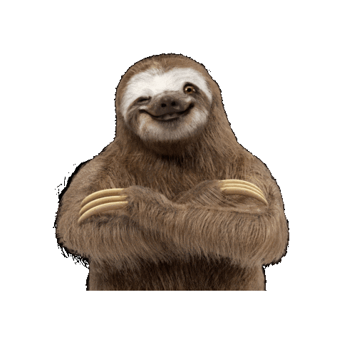 Oso Julian Sticker by Saludsa