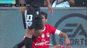 Sl Benfica Slbgif GIF by Sport Lisboa e Benfica