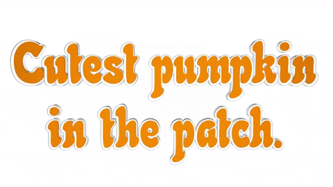 Fall Autumn GIF