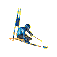 Racing Skiing Sticker by Ski Quebec alpin