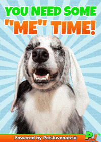 Love Yourself Relax GIF by PetJuvenate - PJ