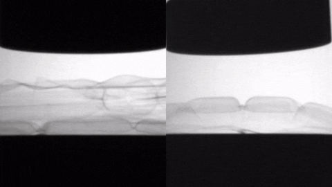 AirAction giphyupload GIF