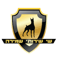 shayshmira shaysecurity Sticker