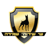 shayshmira shaysecurity Sticker
