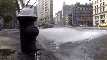 New York Nyc GIF