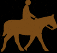 Horseback Riding Horse GIF by TeamAMPL