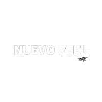 Nuevo Reel Sticker by Zotz