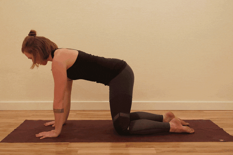 tarmstrong-wagnerskis giphyupload GIF