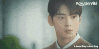 Cha Eun Woo Kdrama Couple GIF by Viki